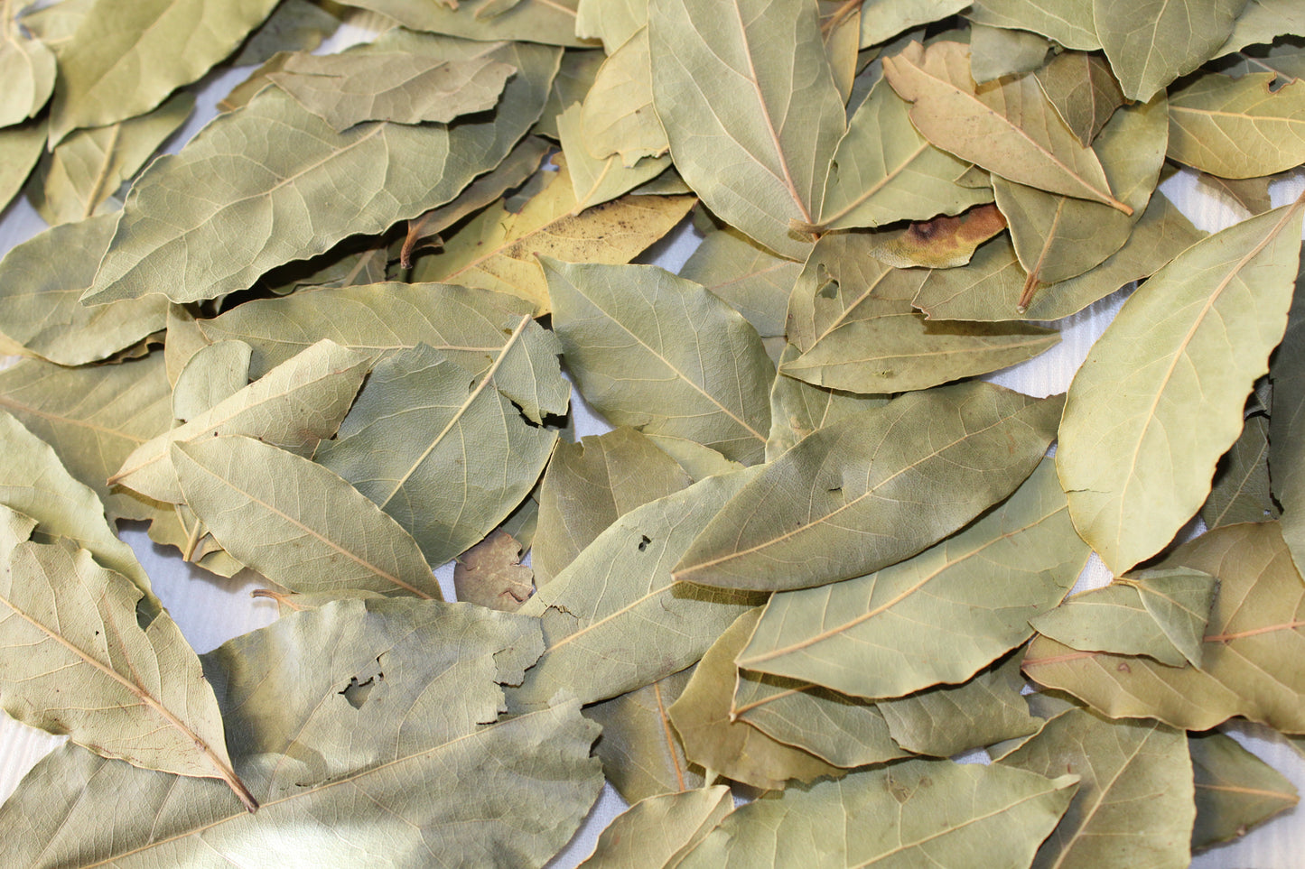 Bay leaves